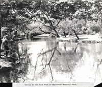 Photo only available in the library